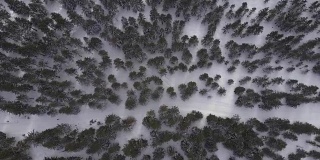 在冬季森林里，无人驾驶飞机在空中俯瞰无法辨认的滑雪人群