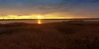 鸟瞰图美丽的湖和芦苇田在日落