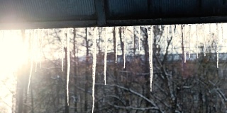 春天解冻后，冰柱悬挂在屋顶上。