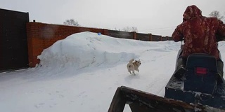 在雪村里，人们骑着雪地摩托带着狗