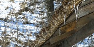 水从木质和茅草屋顶滴落下来
