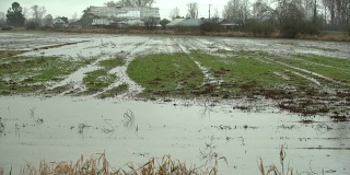 农田进水，大雨4K超高清