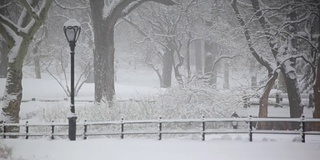 下雪的纽约中央公园日