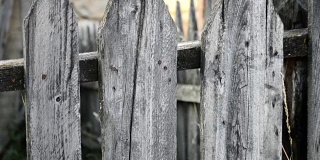 古老的木栅栏，上面长满了青苔和钉子