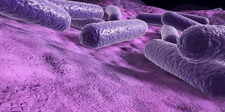 表面上的细菌，3d渲染的微观特写飞槽动画