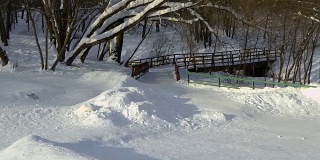 木桥，路穿过公园，雪