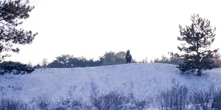 妈妈和儿子在森林里拉着雪橇，一家人在阳光明媚的冬日户外玩耍
