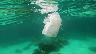 塑料袋漂浮在水下脆弱的珊瑚礁上视频素材模板下载