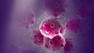 近距离图像的紫色癌细胞束与大束尘埃视频素材模板下载