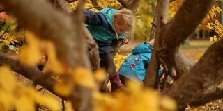 童年时光:孩子们在秋天公园玩耍