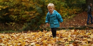 童年时光:孩子们在秋叶中嬉戏
