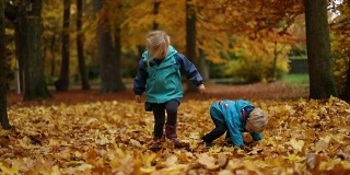 孩子们在公园里的落叶上玩耍