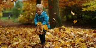 童年时刻:男孩抱着秋叶