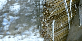 解冻。水从木茅草棚顶滴下
