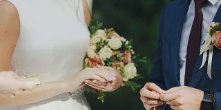 在绿草如茵的背景下，新婚夫妇交换戒指。