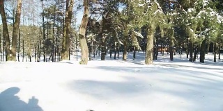冬天，一个小男孩在白雪覆盖的森林里奔跑