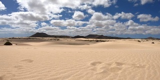 科拉雷霍沙丘，沙漠，旅游业，富埃特文图拉，金丝雀