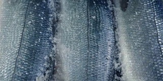 路过的鱼在冰上展示