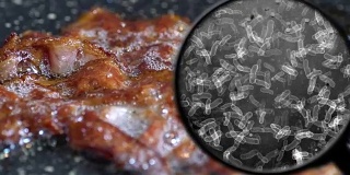 寻找肉中的细菌