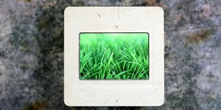 幻灯片上的绿草