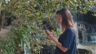 加州大学洛杉矶分校:在国家公园里使用智能手机的女性视频素材模板下载