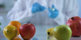 研究台上的新鲜水果，实验室工作人员开发维生素精华，转基因食品
