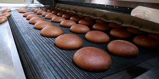 在生产线上刚出炉的热烤面包
