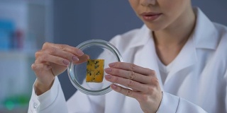 亚洲女研究员检查奶酪样本，结果不好，质量差