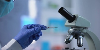 科学家准备血液样本并放在显微镜玻璃下，生物学