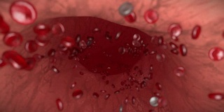 血细胞红白静脉动脉血细胞生物学医学博士4k