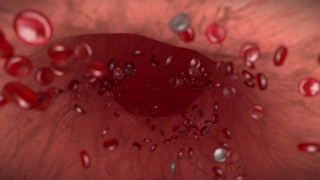 血细胞红白静脉动脉血细胞生物学医学博士4k视频素材模板下载