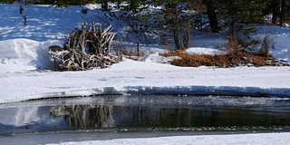 冬季，阿尔泰河被冰雪覆盖