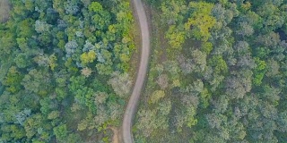 鸟瞰图飞过柏油两车道的森林道路与绿树茂密的树林生长的两边。