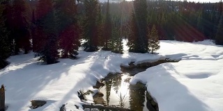 冬天，一群鹅坐在一条小溪的岸边