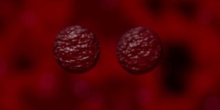 细胞增殖细菌病毒血液显微镜下4K