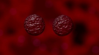 细胞增殖细菌病毒血液显微镜下4K视频素材模板下载