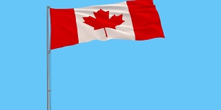 孤立的旗帜加拿大旗杆在风中飘扬的蓝色背景，3d渲染