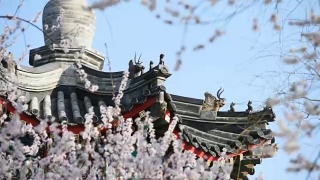 颐和园是北京的春天视频素材模板下载