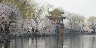 颐和园是北京的春天