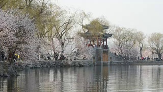颐和园是北京的春天视频素材模板下载
