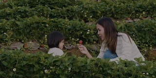 有趣的女儿在农场摘草莓