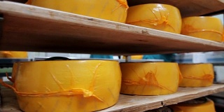 工厂仓库货架上的包装奶酪轮。奶酪生产