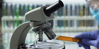 食品技术工程师在显微镜下观察棕榈油，检查质量