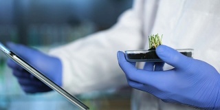 生物学家抱着一种新的作物，用药片记录研究结果