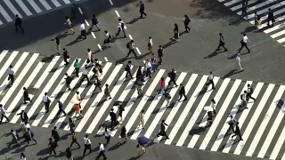 东京涩谷十字路口视频素材模板下载