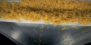 通心粉在食品厂制造通心粉特写镜头。