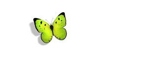 蓝色背景上的绿蝴蝶。美丽的3d动画与阴影和全局照明。全高清