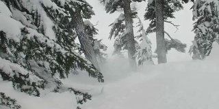 滑雪者黑色夹克骑深粉雪荒野荒野树木斜坡户外冬季娱乐极限运动