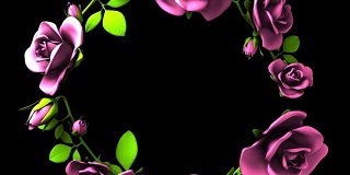 粉红玫瑰框架在黑色文本空间