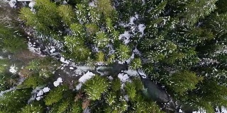 河流肆虐冰冻的雪俯瞰充满活力的绿色自然森林森林华盛顿州自然